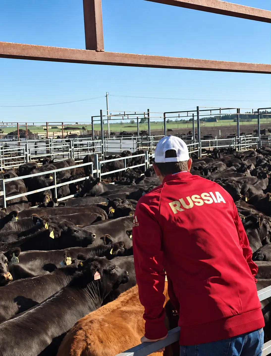 Projeto de Rodrigo em Rússia